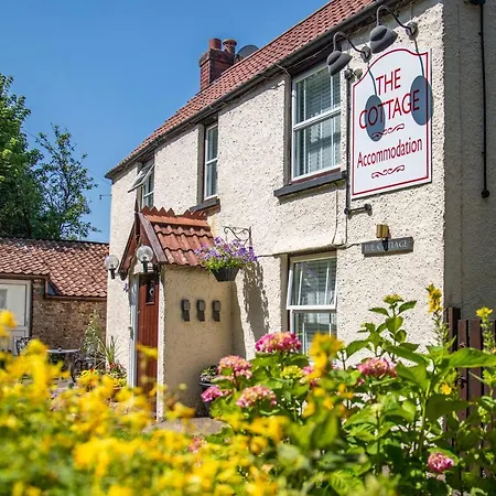 The * Felton (Somerset)